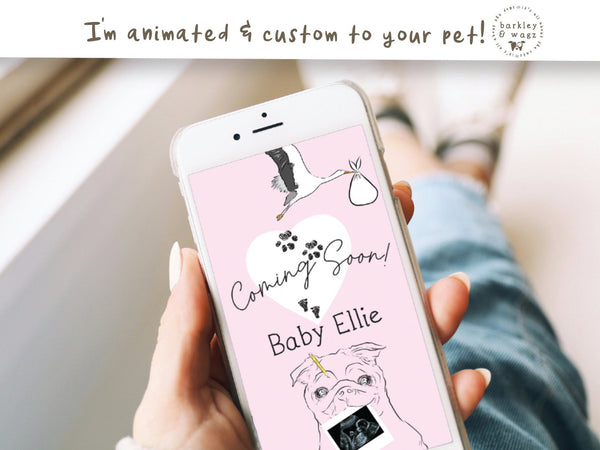 Custom Animated Pregnancy Announcement for Reels Social Media Emails with Personalized Dog Portrait and Sonogram