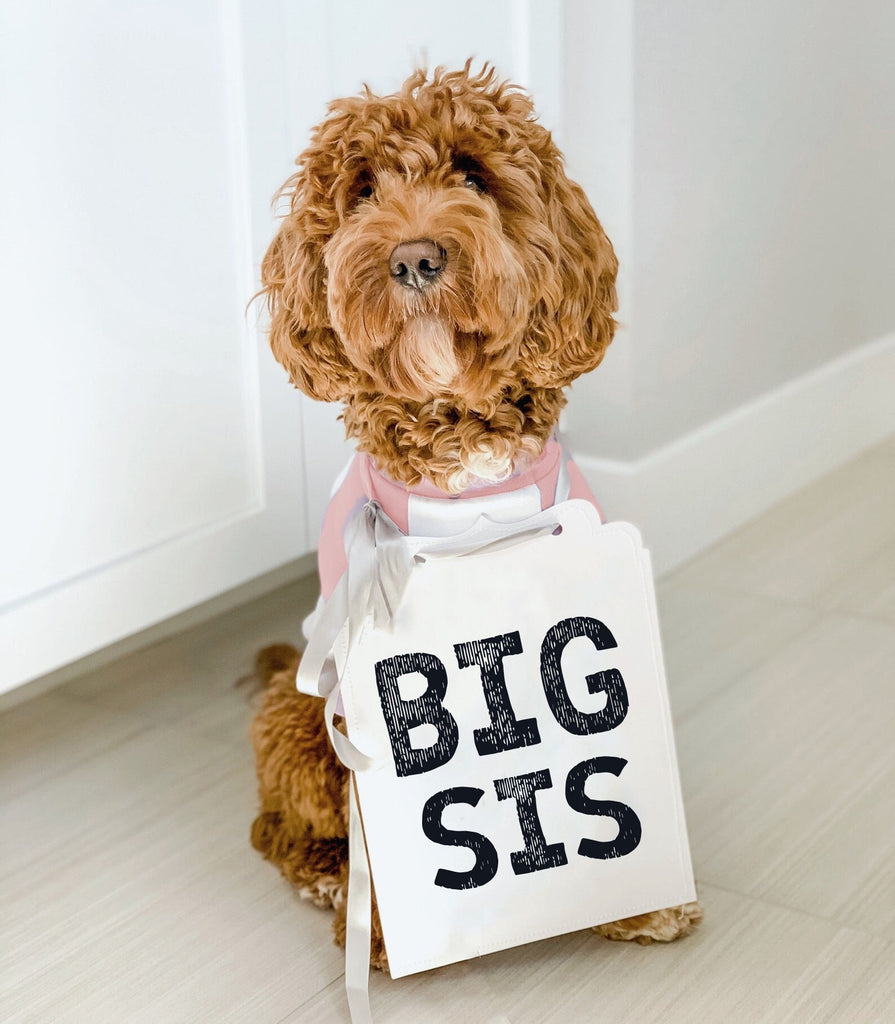 Big Sis or Big Bro Pregnancy Announcement Sign with Doodle Wearing Pink/White Dog Raglan