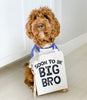 Soon to Be Big Sis or Soon to Be Big Bro Pregnancy Announcement Sign with Dog Wearing Blue and White Personalized Raglan by Barkley & Wagz