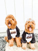  A Little Scary or A Lotta Scary Halloween Dog Raglan Single or Set - Printed on Front/Back