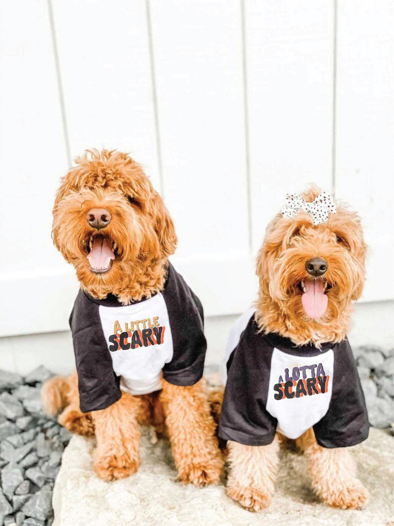  A Little Scary or A Lotta Scary Halloween Dog Raglan Single or Set - Printed on Front/Back