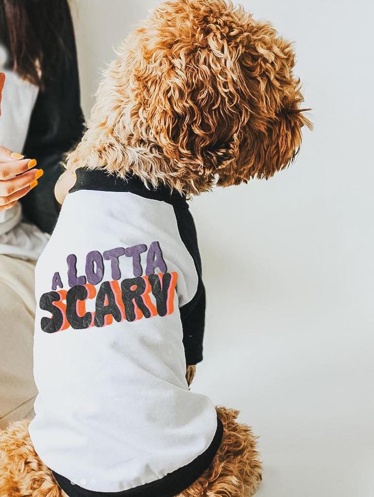 A Little Scary or A Lotta Scary Halloween Dog Raglan Single or Set with Purple, Black, Pink, and Orange Color Scheme