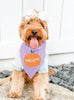 Mama's Little Pumpkin or Daddy's Giant Pumpkin Halloween Bandana in Lilac