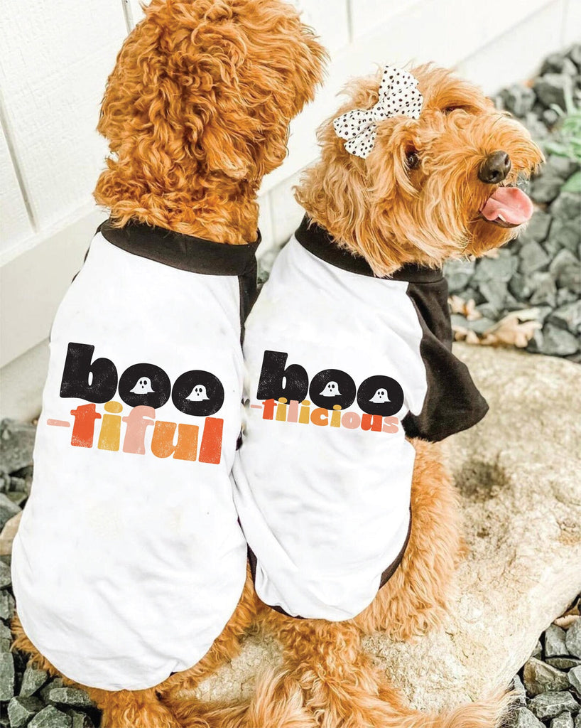 Boo-tiful or Boo-tilicious Halloween Dog Raglan Matching Set - Worn by Goldendoodles