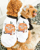 It's Ghoul-den Hour Halloween Pun Dog Raglan Single or Set