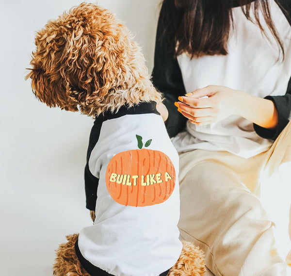 Built Like a Pumpkin Halloween Dog Raglan Single or Set