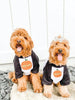 Mama's Little Pumpkin or Daddy's Giant Pumpkin Halloween Pet Raglan Set of 2 - Printed on the front