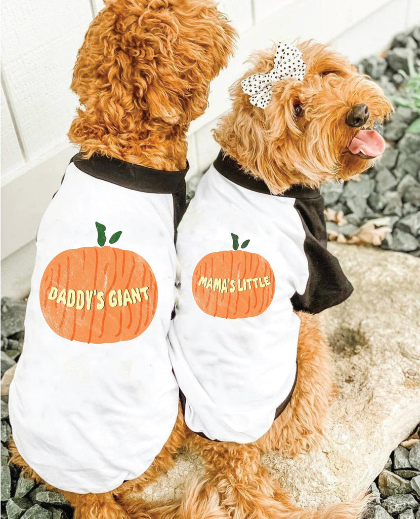 Mama's Little Pumpkin or Daddy's Giant Pumpkin Halloween Pet Raglan Single or Set