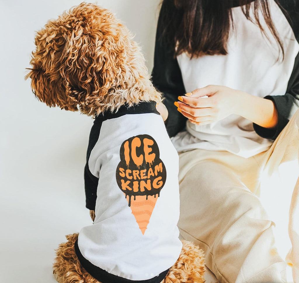 Ice Scream Queen or Ice Scream King Halloween Pun Dog Raglan