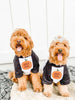 Pumpkin Spice Girls Dog Matching Raglan Set 