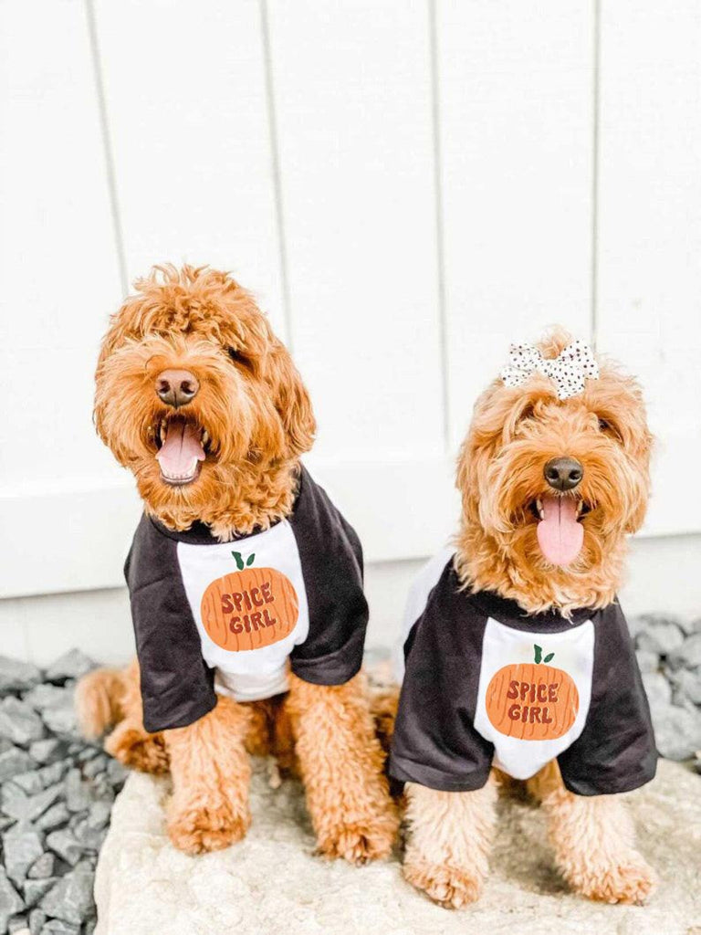 Pumpkin Spice Girls Dog Matching Raglan Set 