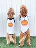 Mama's Little Pumpkin or Daddy's Giant Pumpkin Halloween Pet Raglan Set of 2 - Worn by Goldendoodles