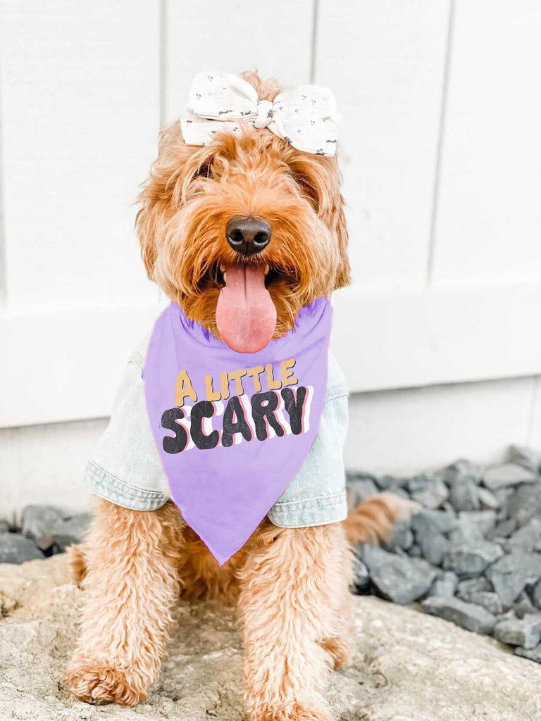  A Little Scary or A Lotta Scary Halloween Pet Bandana in Lilac Color