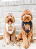 It's Ghoul-den Hour Halloween Themed Bandana in Black or White - Worn by two cute Goldendoodles