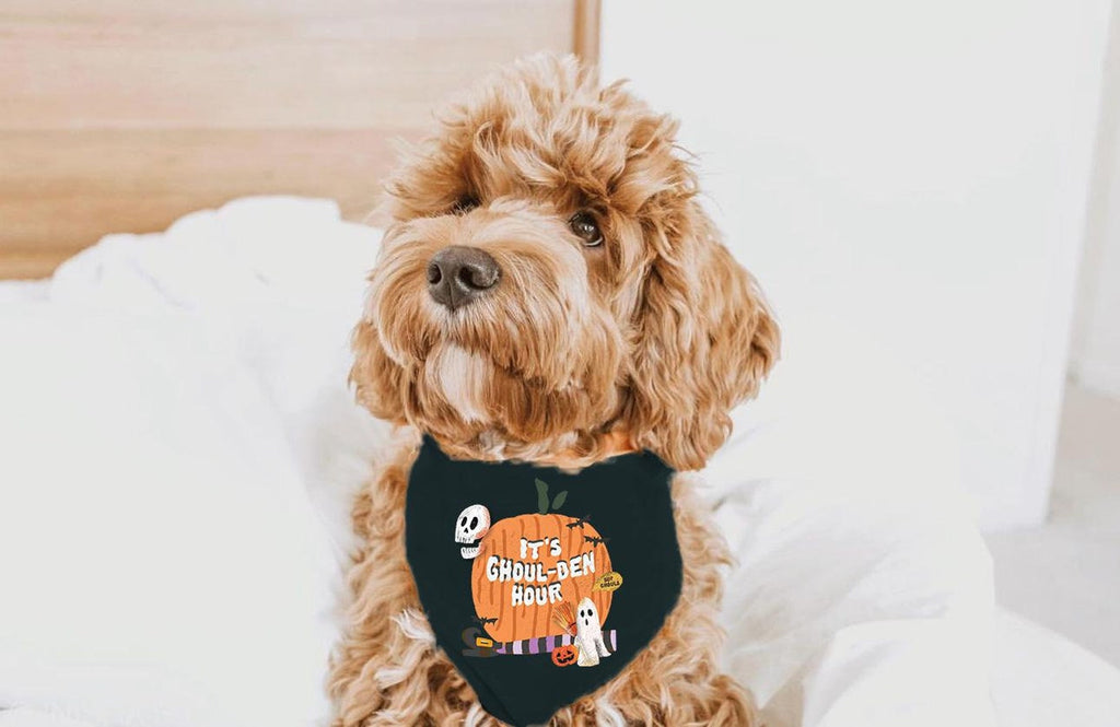 It's Ghoul-den Hour Halloween Themed Pun Bandana in Black - Worn by Goldendoodle