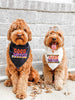 Good Witch or Sand-witch Halloween Pun Bandana worn by Goldendoodles