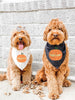 Mama's Little Pumpkin or Daddy's Giant Pumpkin Halloween Pun Bandana in Black and White