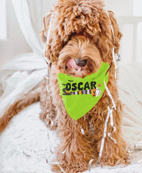 Personalized Halloween Themed Name Bandana in Lime Green