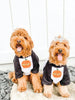 Built Like a Pumpkin Halloween Dog Raglan Single or Set - Printed on Front