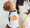 Mama's Little Pumpkin or Daddy's Giant Pumpkin Halloween Dog Raglan 