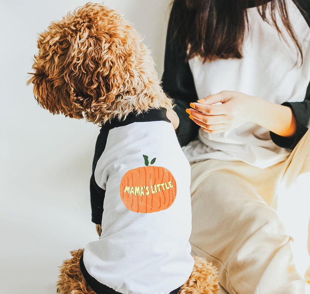 Mama's Little Pumpkin or Daddy's Giant Pumpkin Halloween Dog Raglan 