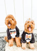 Boo Y'all or Too Cute to Spook Halloween Pet Raglan Single or Set in Black/White