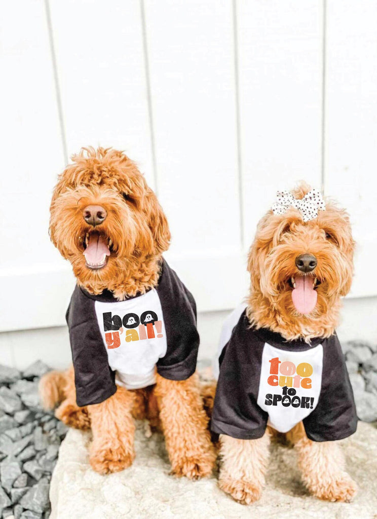 Boo Y'all or Too Cute to Spook Halloween Pet Raglan Single or Set in Black/White