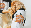 It's Ghoul-den Hour Halloween Human Dog Matching Raglan Set