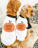 Pumpkin Spice Girls Dog Raglans