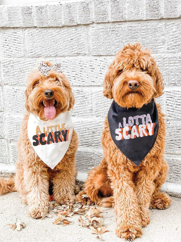 Pet Bandanas