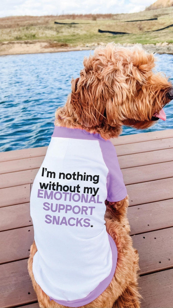 HOT Pet Printed Cute Dog Shirts For Dogs Cute Dog Dog T Shirt