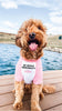 Personalized Funny Wording Custom Dog Shirt Tee in Pink/White