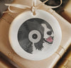Custom Pet Vinyl Record Ornament Music Gift - Shown with Aussie