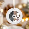 Custom Pet Vinyl Record Ornament Music Gift - Shown with Pointy Eared Aussie Dog