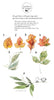 Illustrations of different leaf styles with a personalized customization option on a white background.