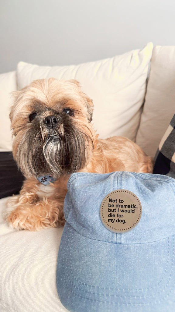 Custom Not to Be Dramatic, But I Would Die For My Dog/s Baseball Hat - Denim