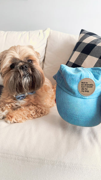 Custom Not to Be Dramatic, But I Would Die For My Dog/s Baseball Hat - Aqua