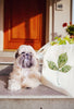 Custom Paws and/or Nose Prints on Green Leaf Tote Bag - shown with Shih Tzu