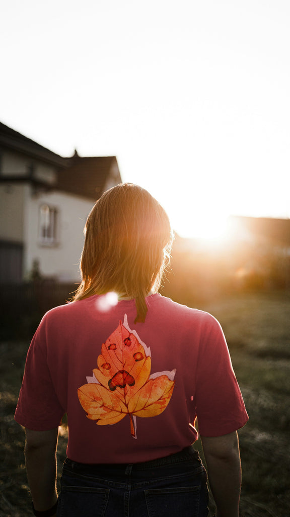 Person wearing a crimson Comfort Colors shirt with a leaf design printed with a paw, standing in a field with a sunset in the background.