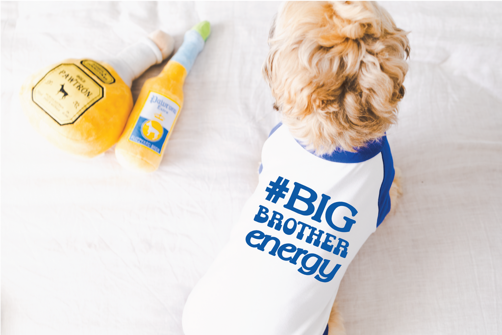 #BigBrotherEnergy #BigSisterEnergy Dog Raglan Shirt in Blue and White