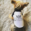 King or Queen of the House Custom Dog Raglan in Black and White - Modeled by Nutmeg the Yorkshire Terrier