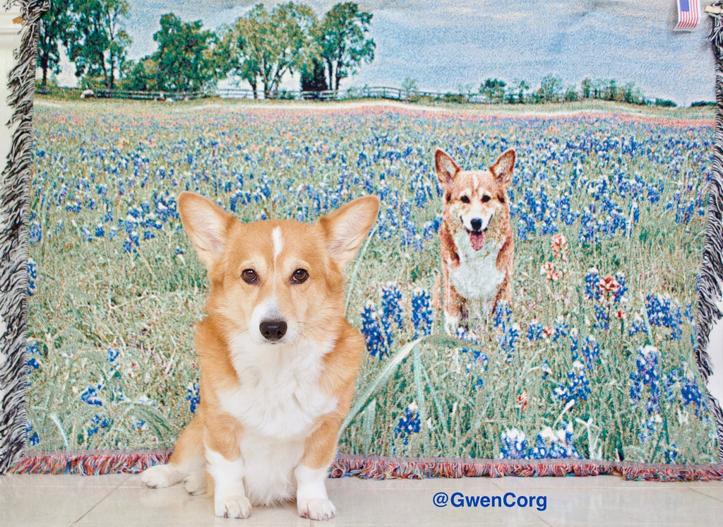 Custom Dog, Cat, or Other Pet Photo Woven Throw or Fleece Blanket - Featuring a Photo of a Pembroke Welsh Corgi in a field of flowers