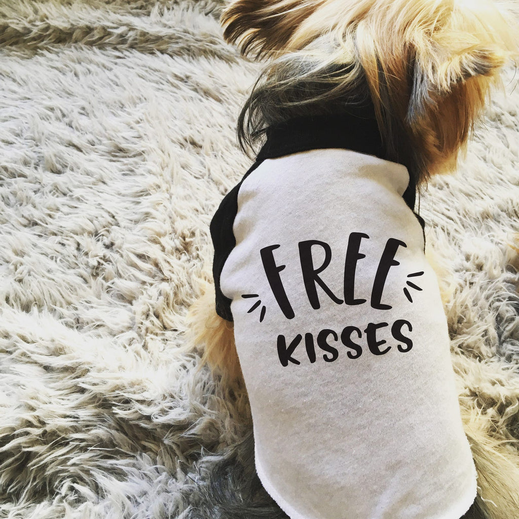 Free Kisses, Cuddles, or Snuggles Custom Dog Raglan Shirt in Black and White - Modeled by Nutmeg the Yorkie Yorkshire Terrier