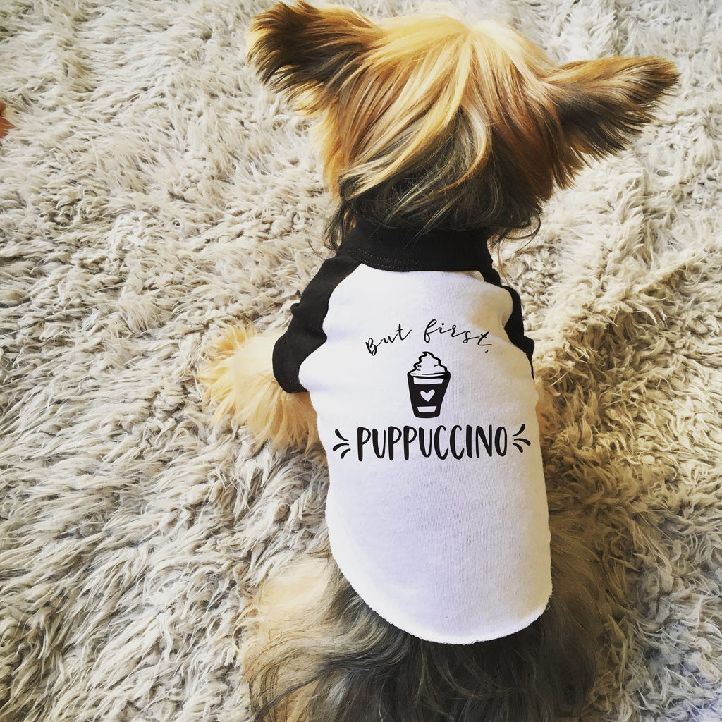 But First, Puppuccino Dog Shirt Dog Raglan Shirt in Black and White - Modeled by Nutmeg the Yorkshire Terrier Yorkiie