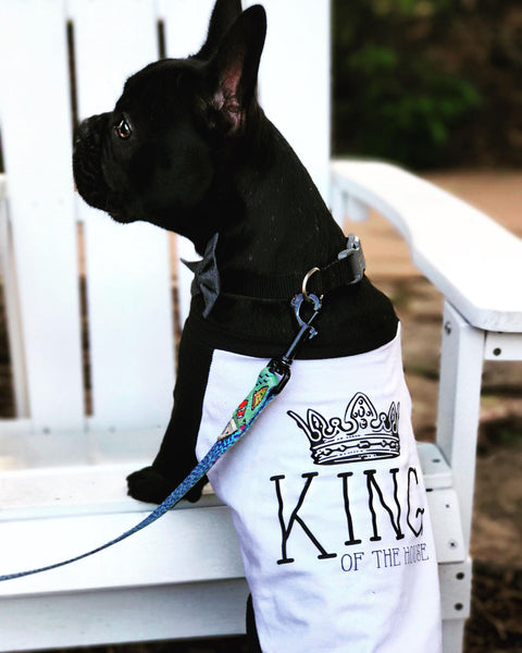 King or Queen of the House Custom Dog Raglan in Black and White Modeled by Kingston the French Bulldog Frenchie