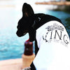 King or Queen of the House Custom Dog Raglan Modeled by Kingston the French Bulldog Frenchie