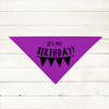 It's My Birthday Dog Bandana in Purple