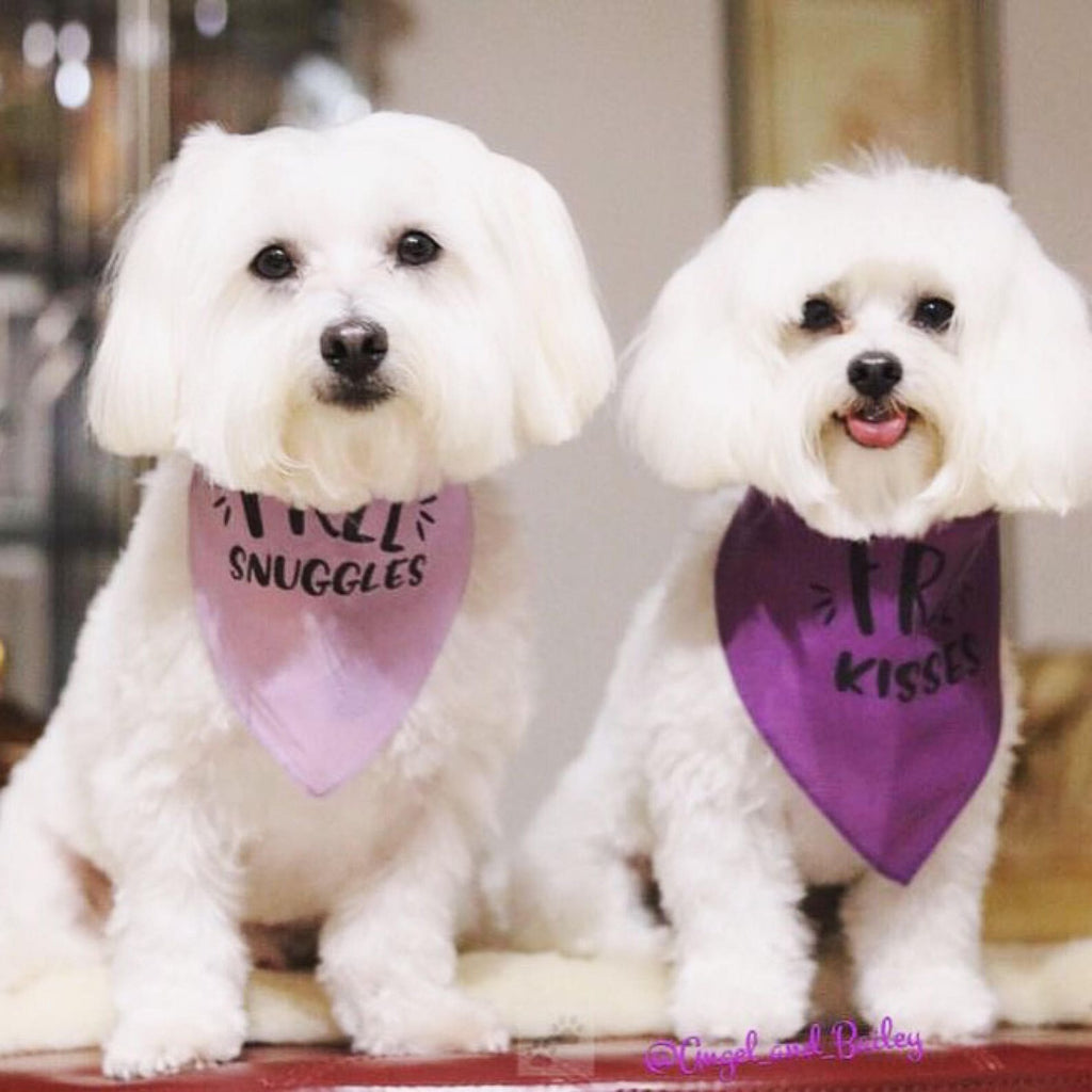 Free Kisses, Cuddles, or Snuggles Bandana in Lilac and Purple