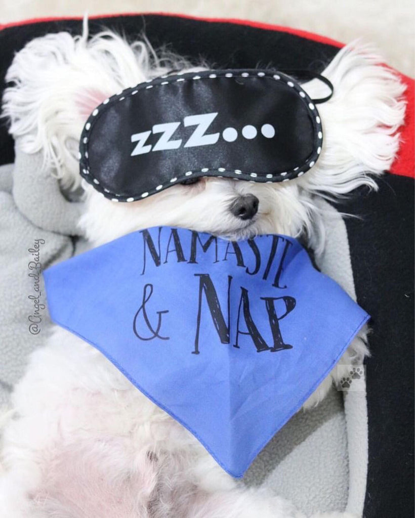 Namaste & Nap Cute Funny Yoga Dog Bandana in Cobalt Royal Blue