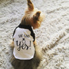 She Said Yes! Engagement Announcement Dog Raglan Shirt in Black and White - Modeled by Nutmeg the Yorkshire Terrier